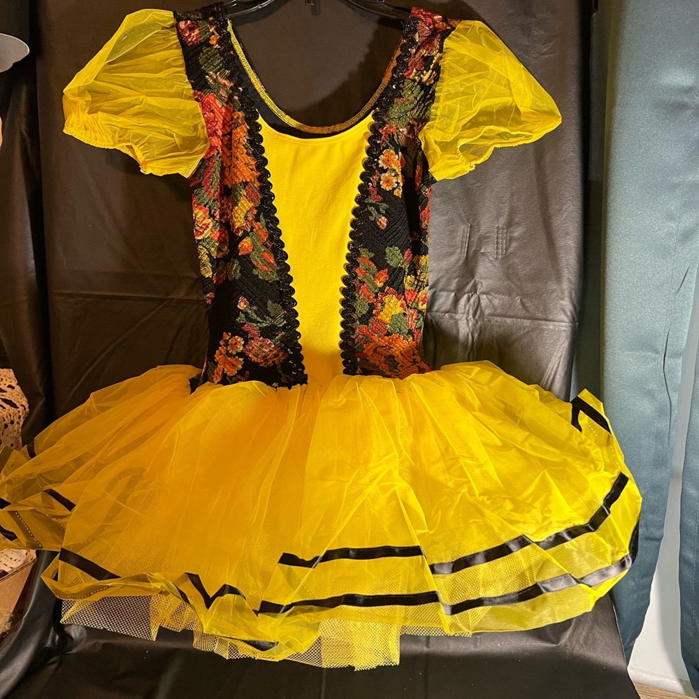 Mazurka dance costume NWOT